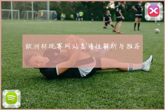 欧洲杯观赛网站靠谱性解析与推荐