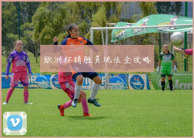 欧洲杯猜胜负玩法全攻略