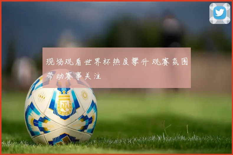 现场观看世界杯热度攀升 观赛氛围带动赛事关注