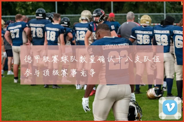 德甲联赛球队数量确认十八支队伍参与顶级赛事竞争